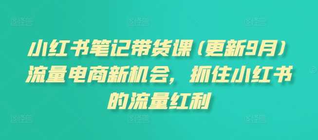 小红书笔记带货课(更新25年3月)流量电商新机会，抓住小红书的流量红利-凌秋网创