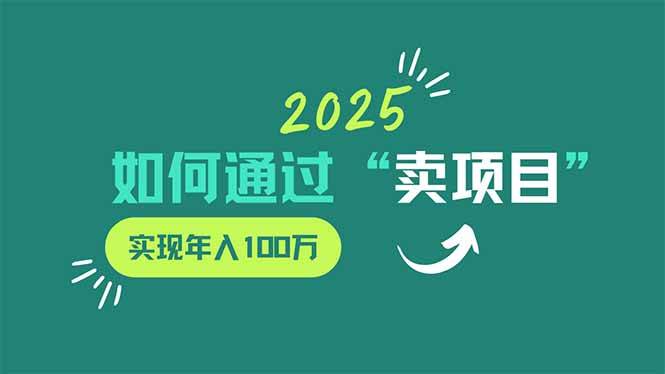 （14176期）2025年如何通过“卖项目”实现年入100万-凌秋网创