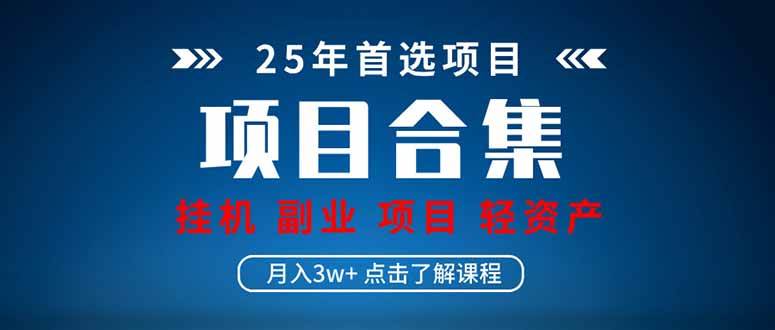 （14175期）2025 实操项目合集 挂机类型 直播类型 轻资产创业类型 课程分享各项目…-凌秋网创
