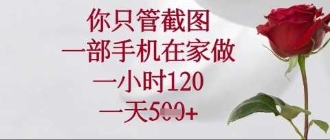 你只管截图，一部手机在家操作，一小时120.一天5张【揭秘】-凌秋网创