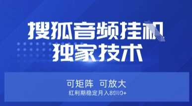 【搜狐音频挂G】独家技术，可矩阵可放大，红利期稳定月入8k【揭秘】-凌秋网创