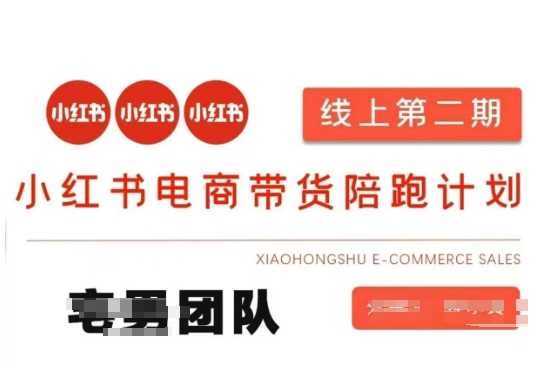 小红书电商带货课2期，月利润20个的小红书电商的有货源，无货源，虚拟产品，付费投流等整套玩法-凌秋网创