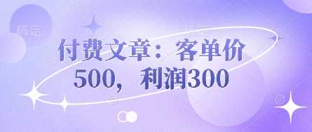 付费文章：客单价500，利润300-凌秋网创