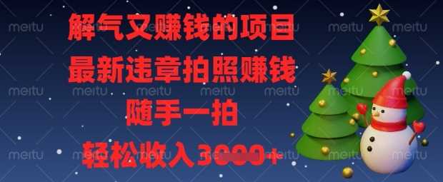 解气又挣钱的项目，最新违章拍照挣钱，随手一拍，轻松收入数张【揭秘】-凌秋网创