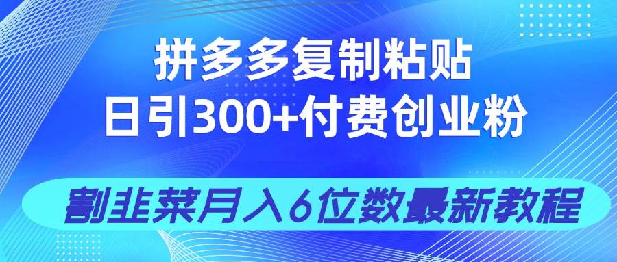 （14232期）拼多多复制粘贴日引300+付费创业粉，割韭菜月入6位数最新教程！-凌秋网创