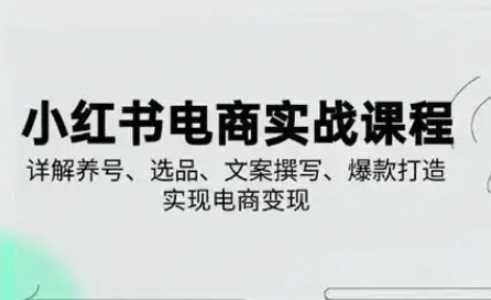 小红书从0-1实操课(2023-2025)，详解养号、选品、文案撰写、爆款打造实现电商变现-凌秋网创