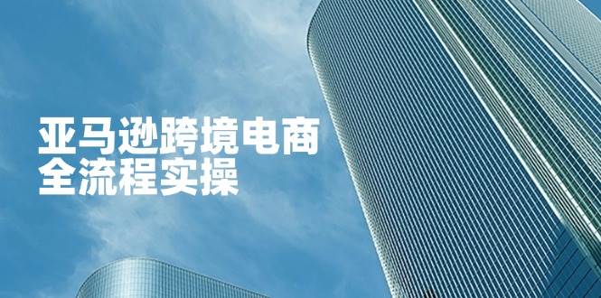 （14252期）亚马逊跨境电商全流程实操，教你从零开始，掌握店铺运营与广告技巧-凌秋网创