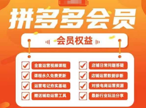 2025拼多多运营实战课，40节全流程教学，覆盖拼多多运营全链路-凌秋网创