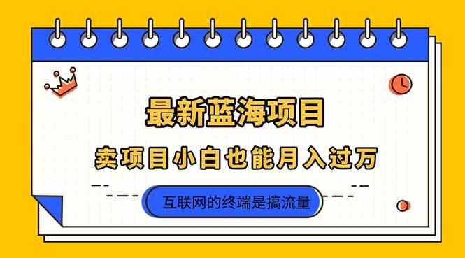（14289期）2025年最新蓝海项目，卖项目小白也能月入过万-凌秋网创
