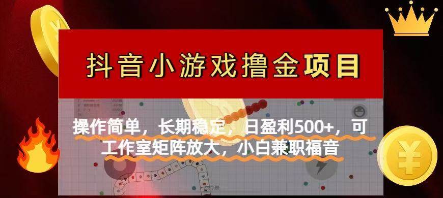 （14290期）【抖音小游戏发行人计划项目】操作简单，长期稳定，日盈利500+，可工作…-凌秋网创