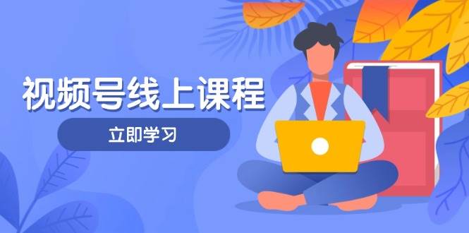 视频号实战课程，轻IP打造与运营技巧，掌握核心方法与策略-凌秋网创