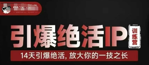 引爆绝活IP训练营，14天引爆绝活，放大你的一技之长-凌秋网创