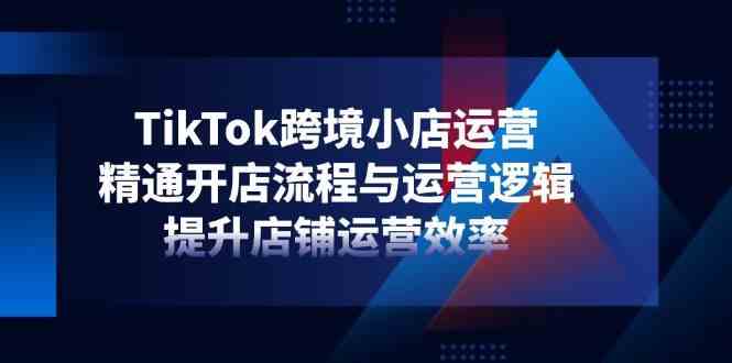 TikTok跨境小店运营，精通开店流程与运营逻辑，提升店铺运营效率-凌秋网创