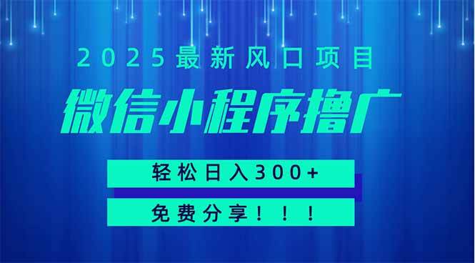 （14375期）微信小程序撸广，最新风口项目，日入300+ 免费分享 可批量操作 小白可…-凌秋网创