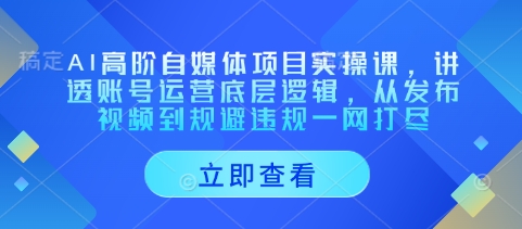 AI高阶自媒体项目实操课，讲透账号运营底层逻辑，从发布视频到规避违规一网打尽-凌秋网创