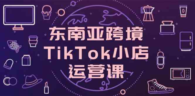 东南亚跨境TikTok小店运营课，掌握店铺设置与流量转化核心技巧-凌秋网创