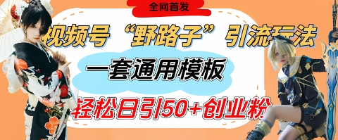 视频号“野路子”玩法，评论区疯狂截流，一套模板单日单号引流50+创业粉-凌秋网创