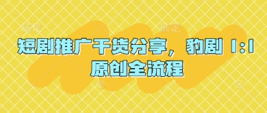 短剧推广干货分享，豹剧 1:1原创全流程-凌秋网创