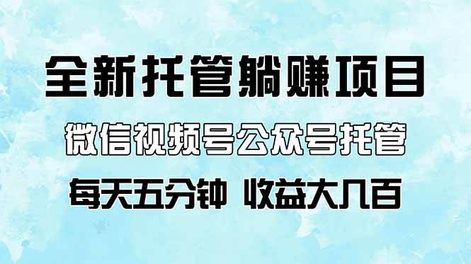 （14425期）全新托管躺赚项目，微信视频号公众号托管代运营，每天五分钟，收益大几百-凌秋网创