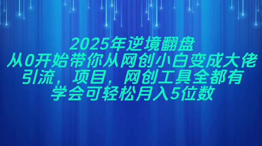 （14473期）2025年逆境翻盘，从0开始带你从网创小白变成大佬，引流，项目，网创工…-凌秋网创