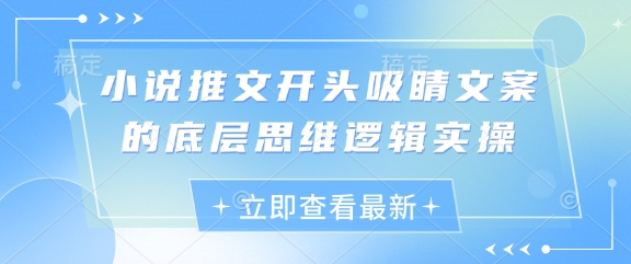 小说推文开头吸睛文案的底层思维逻辑实操-凌秋网创
