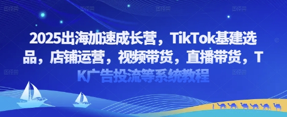 2025出海加速成长营，TikTok基建选品，店铺运营，视频带货，直播带货，TK广告投流等系统教程-凌秋网创