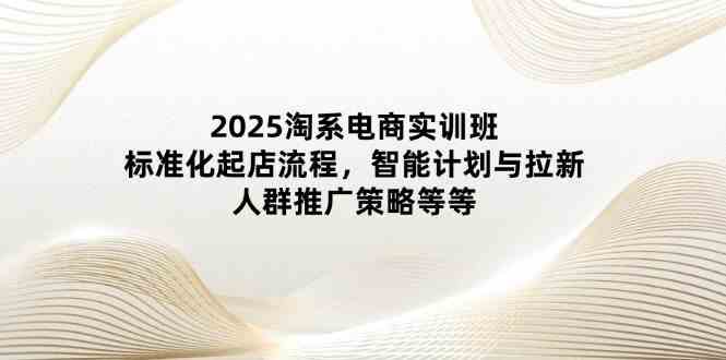 2025淘系电商实训班：标准化起店流程，智能计划与拉新，人群推广策略等等-凌秋网创