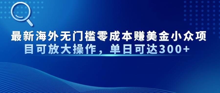 （14542期）最新海外无门槛零成本赚美金小众项目可放大操作，单日可达300+-凌秋网创