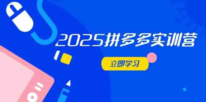 2025拼多多实训营：深度剖析运营关键，助力电商人快速提升-凌秋网创