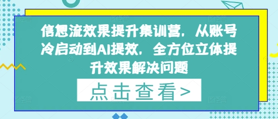 信息流效果提升集训营，从账号冷启动到AI提效，全方位立体提升效果解决问题-凌秋网创