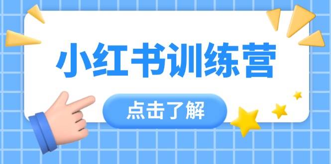 小红书训练营，助小白入门，掌握技巧变达人，课程实操又全面（12节课）-凌秋网创