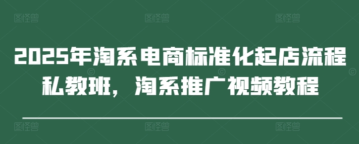 2025年淘系电商标准化起店流程私教班，淘系推广视频教程-凌秋网创