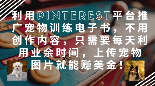 利用Pinterest平台推广宠物训练电子书，不用创作内容，只需要每天利用业余时间，上传宠物图片就能挣美金!-凌秋网创