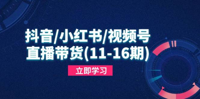 （14611期）抖音/小红书/视频号/直播带货(11-16期)，快速掌握平台规则，打造爆款内容-凌秋网创
