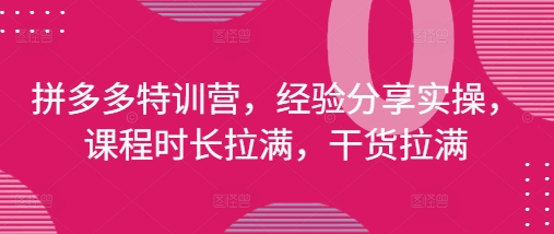 拼多多特训营，经验分享实操，课程时长拉满，干货拉满(更新25年4月)-凌秋网创