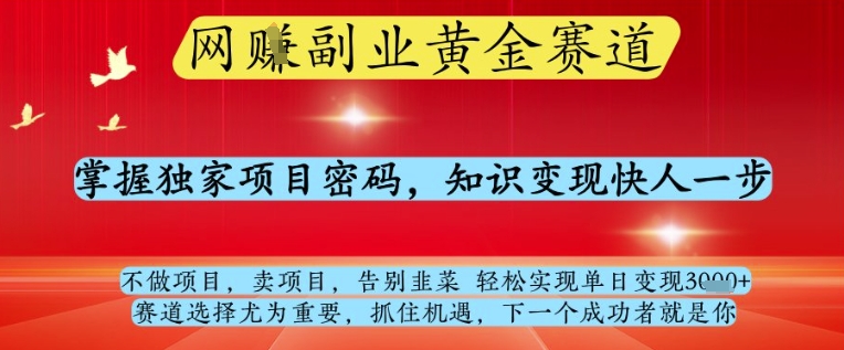 网创副业黄全赛道，掌握独家项目密码，知识变现快人一步，告别韭菜轻松实现单日变现1k+【揭秘】-凌秋网创