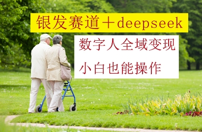 银发赛道+deepseek数字人全域变现，小白也能操作-凌秋网创