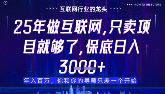 什么！25年你还在找项目做？风口早就变了，卖项目才是稳挣不赔【揭秘】-凌秋网创