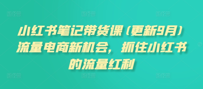 小红书笔记带货课(更新25年4月)流量电商新机会，抓住小红书的流量红利-凌秋网创