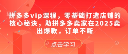 拼多多vip课程，零基础打造店铺的核心秘诀，助拼多多卖家在2025卖出爆款，订单不断-凌秋网创