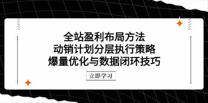 全站盈利布局方法：动销计划分层执行策略，爆量优化与数据闭环技巧-凌秋网创