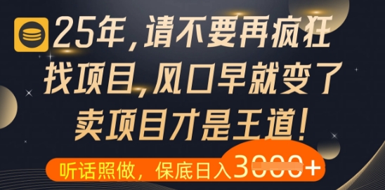 什么？25年你还在疯狂找项目做，醒醒吧，看完这些你全都懂了【揭秘】-凌秋网创