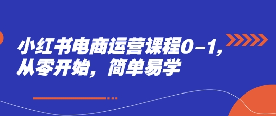 小红书电商运营课程0-1，从零开始，简单易学-凌秋网创