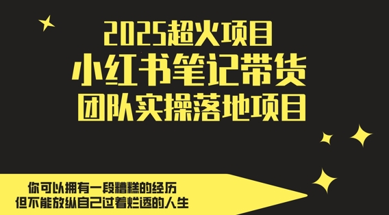 2025超火项目，副业最佳选择，小红书笔记带货团队实操落地项目，，轻松日入5张-凌秋网创