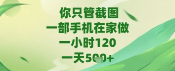 你只管截图，一部手机在家做，苹果安卓都可以，一天5张+【揭秘】-凌秋网创