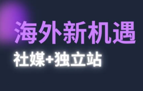 2025出海新机遇(社媒+独立站)，海外新机遇，实现独立站的高效运营与出海-凌秋网创