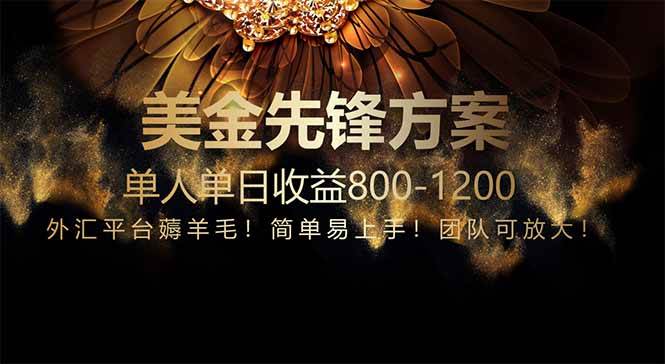 （14761期）免费技术！小众赛道！一年布局抵三年努力，每日800+-凌秋网创