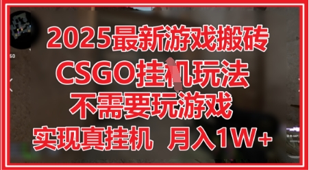 2025最新游戏搬砖，CSGO挂G，不需要玩游戏，实现真挂G，月入1W+【揭秘】-凌秋网创