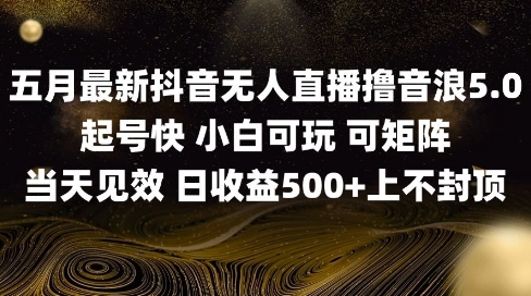 2025五月最新无人直播撸音浪单日产出5张+实操教程【揭秘】-凌秋网创