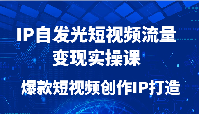 IP自发光短视频流量变现实操课，爆款短视频创作IP打造-凌秋网创